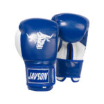 Javson Boxing Gloves Toda Series Blue/White Colour